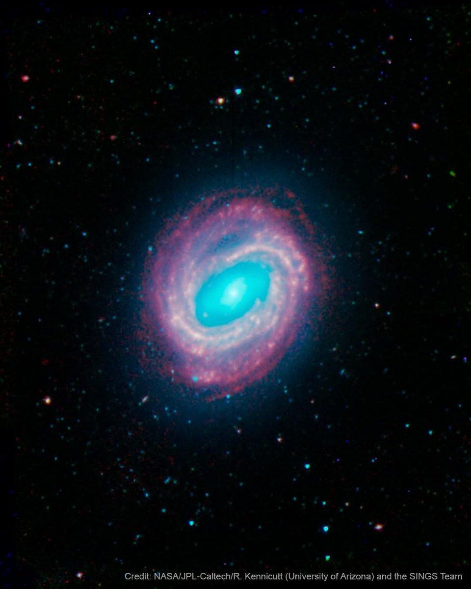 Black Hole tweet media