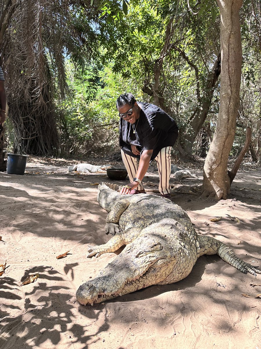 DwinTheStoic's tweet photo. Crocodile DunDwin 🧡 https://t.co/CXN3dc06KB