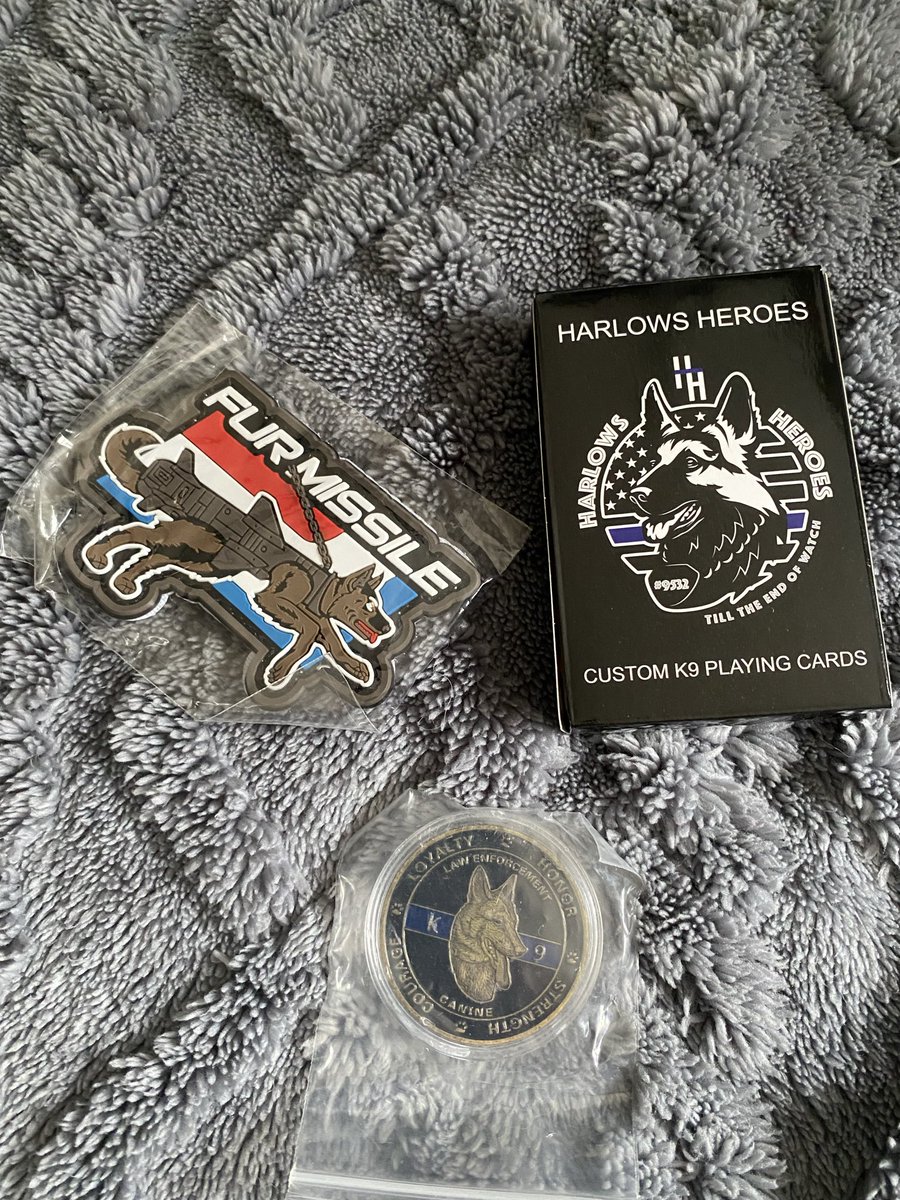 DJ🇺🇸 America 🇺🇸♥️🤍💙Rescue Mom🐾 tweet media