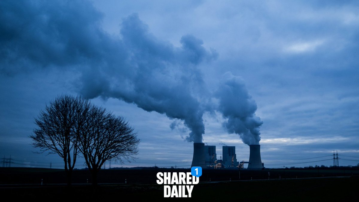 Shareddaiiy tweet media