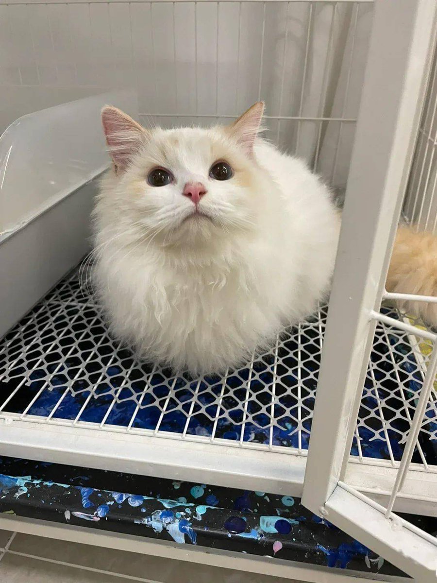 jeffrey D. Luzuriaga tweet media