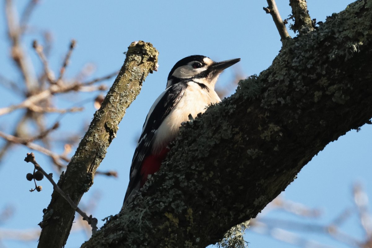 Christopher Teague tweet media