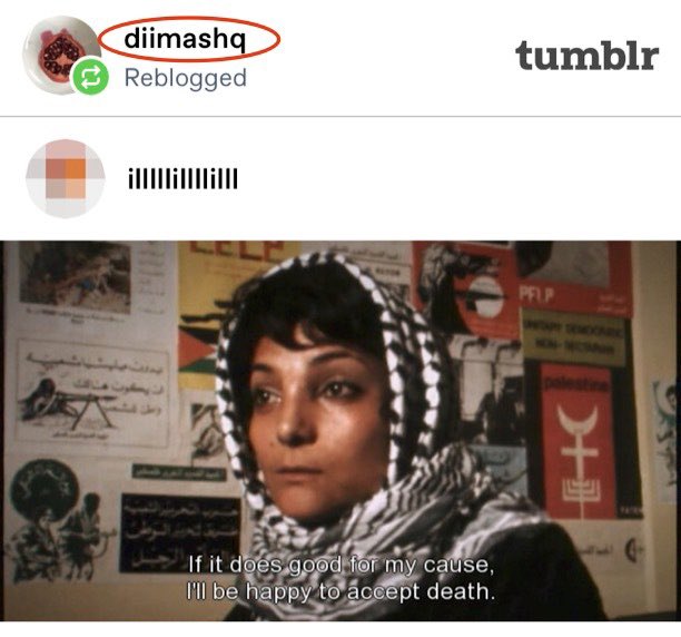 Libs of TikTok tweet media