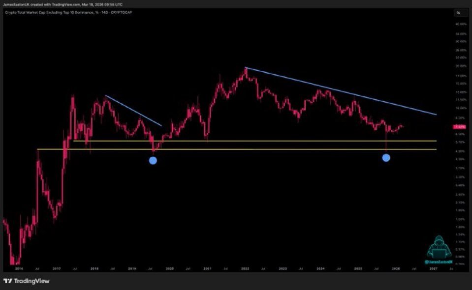Shib Spain tweet media