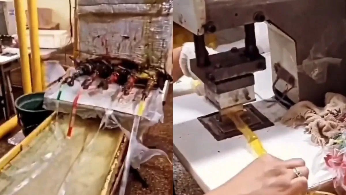 ILych ✰ tweet media