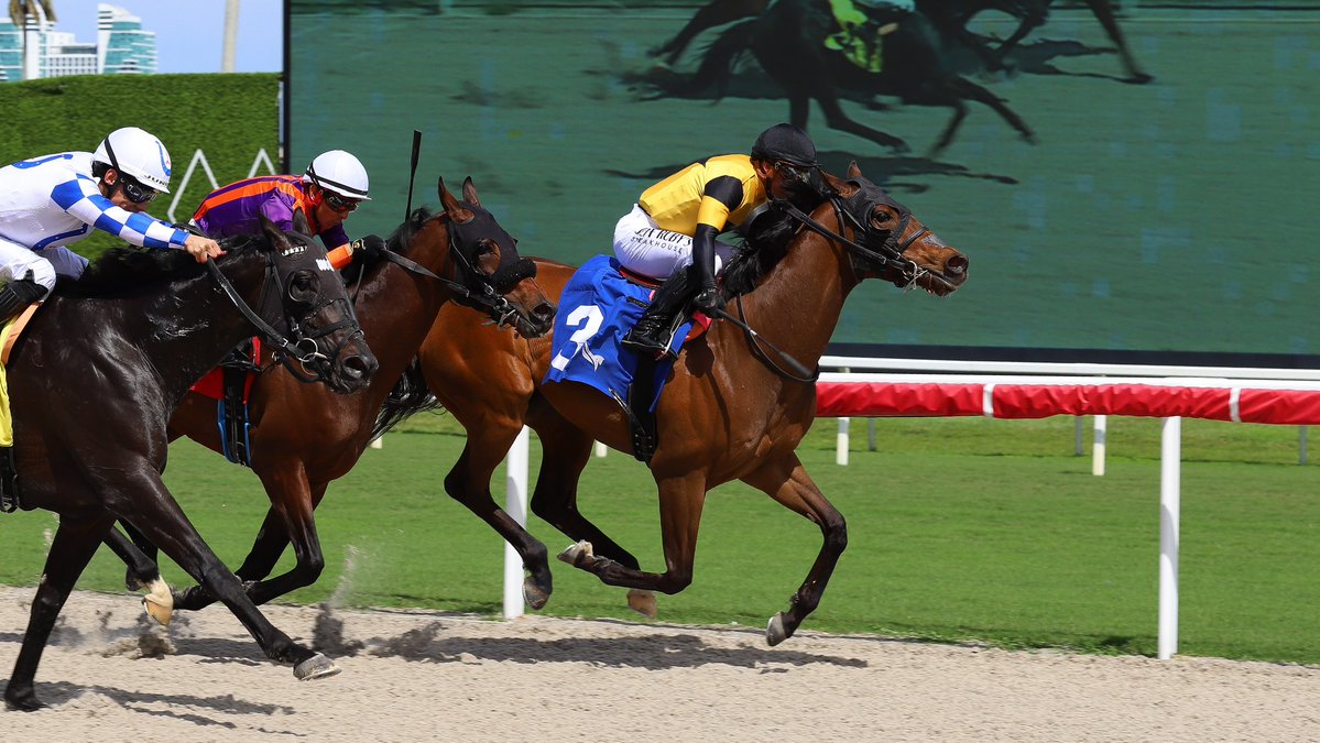 Gulfstream Park tweet media