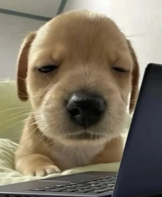 SiMo🇵🇸 tweet media