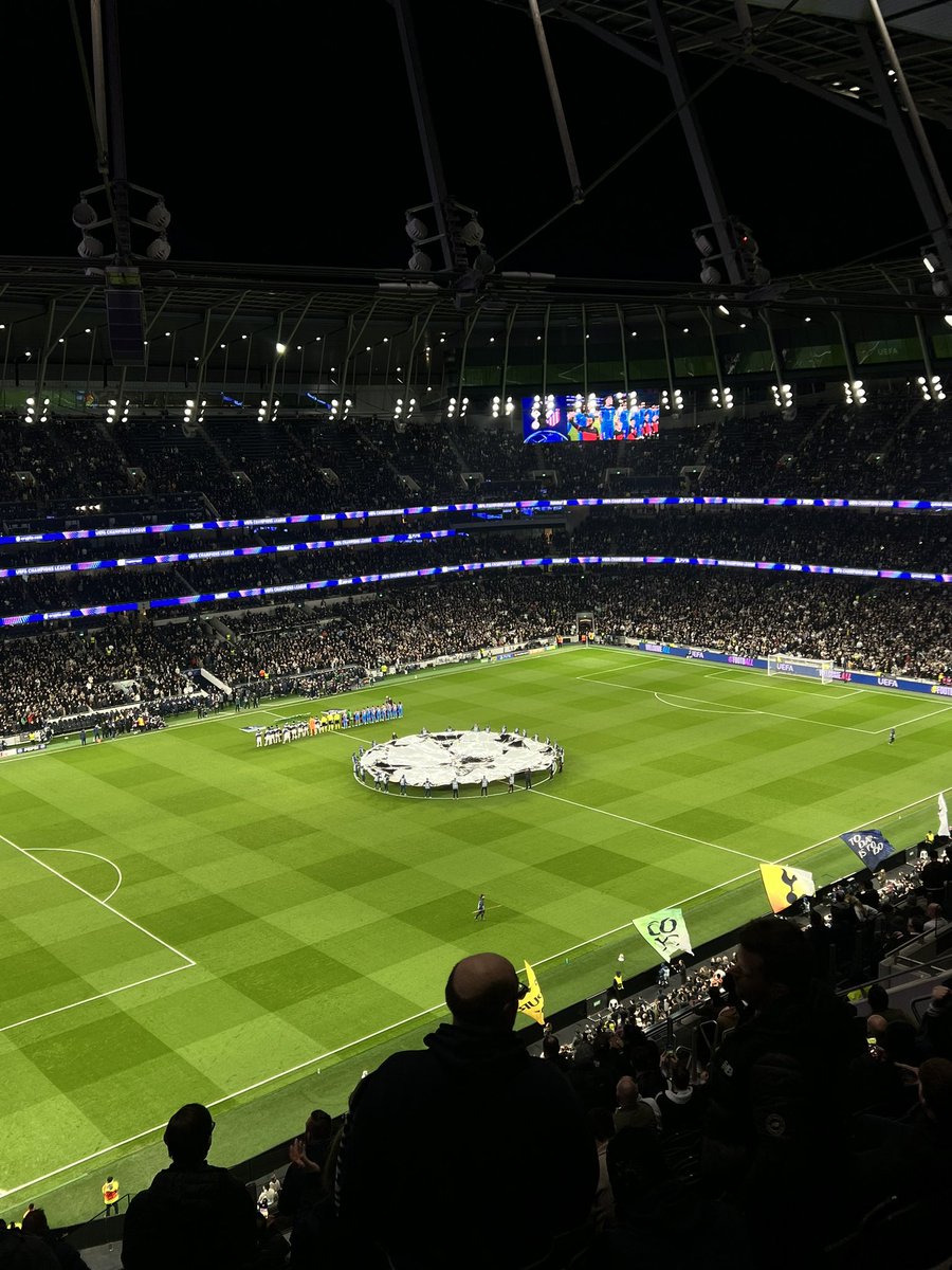 chloe🦋 tweet media