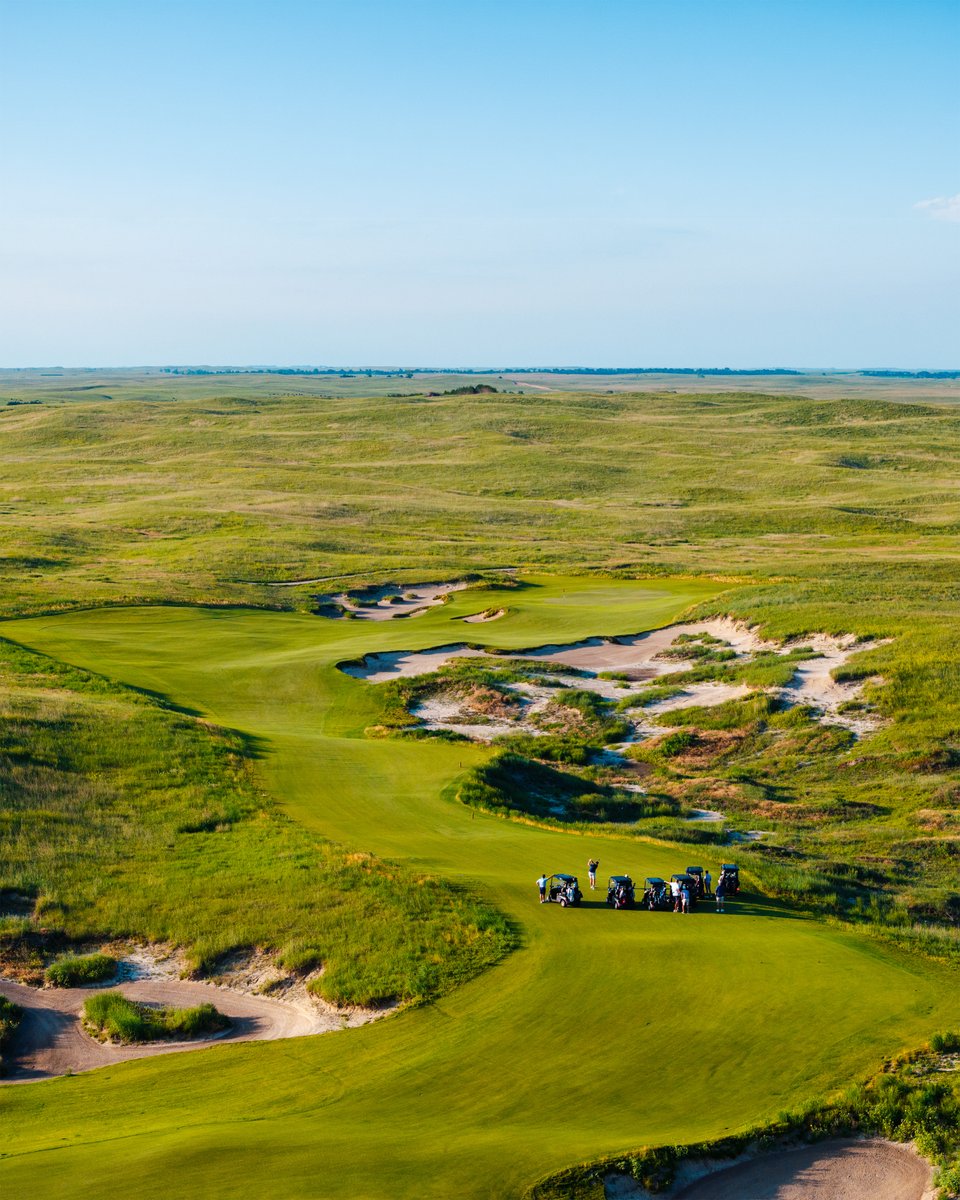 Dormie Network tweet media