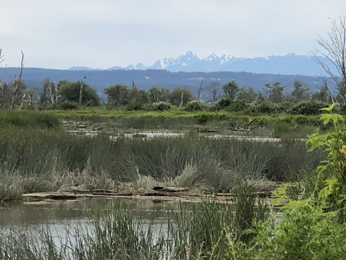 Ben Landgraf tweet media