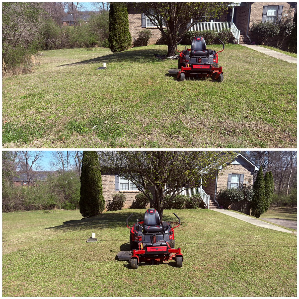 Rodney Smith Jr tweet media