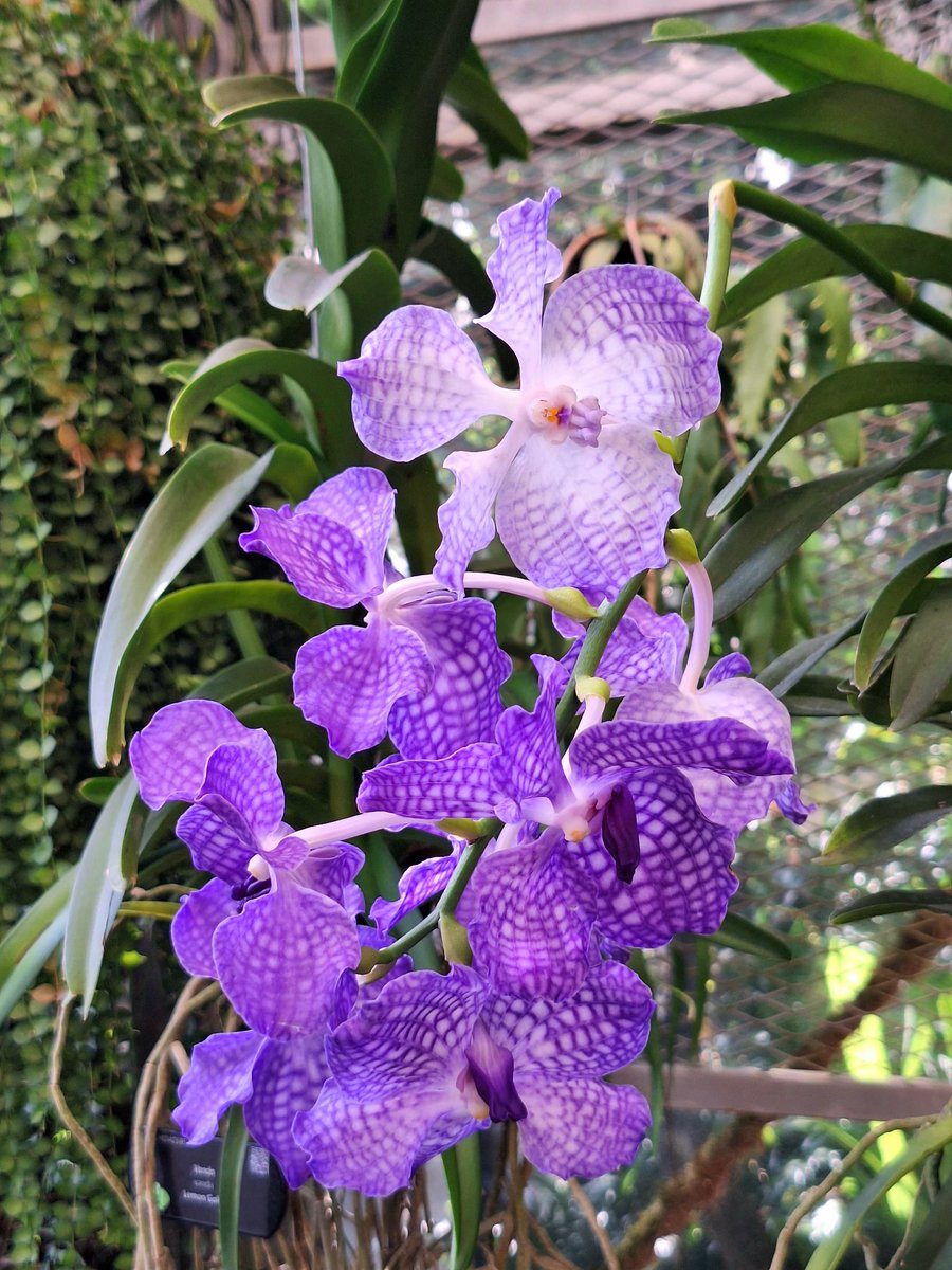 Maire Kerner tweet media