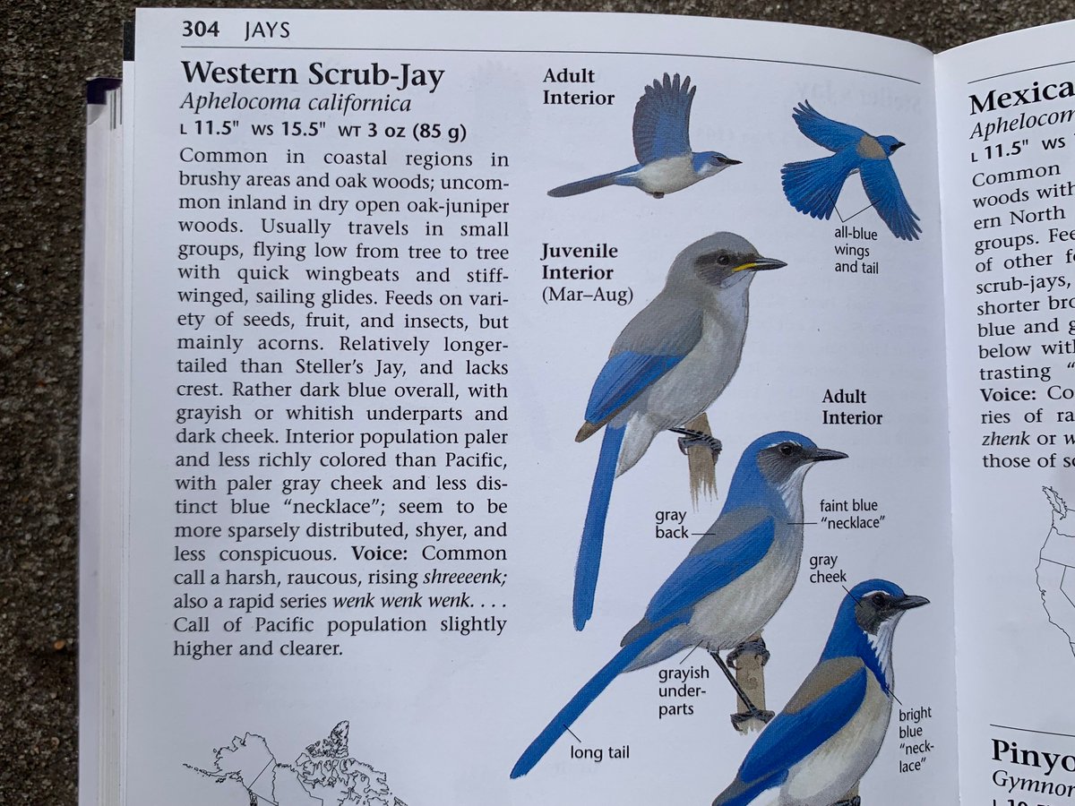 WildLands Defense tweet media