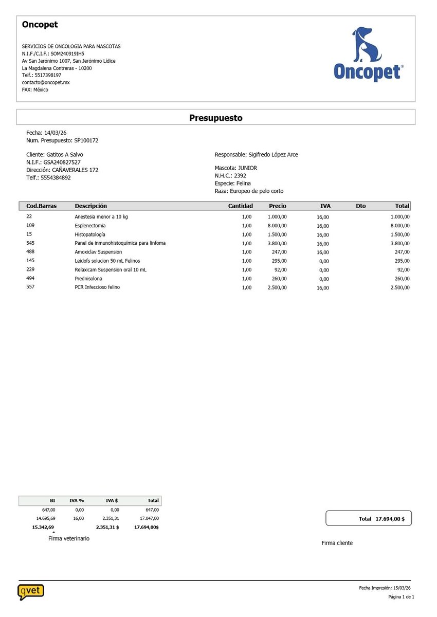 🐾🐾Gatitos a salvo🐾🐾 tweet media