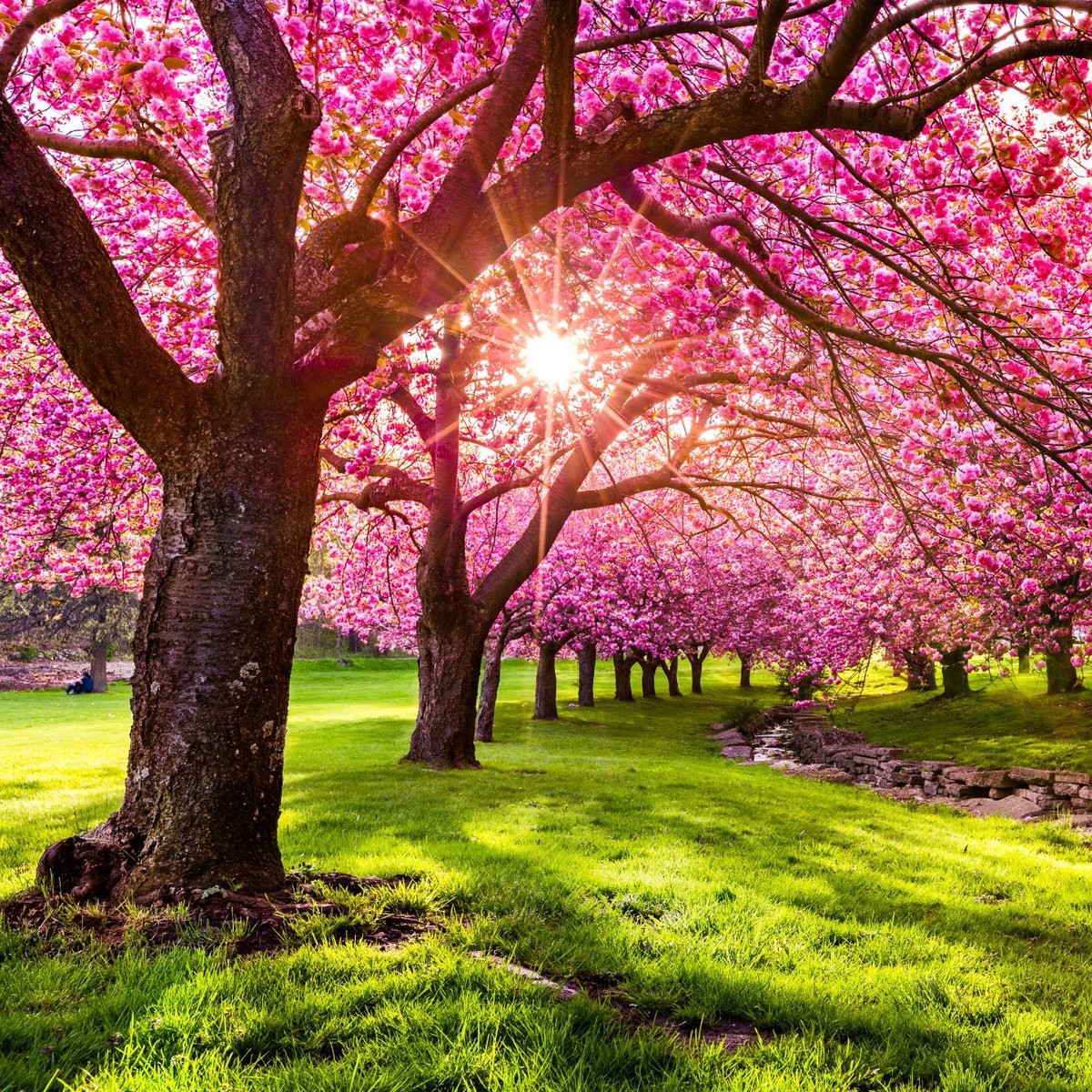 Kristi Yamaguccimane tweet media