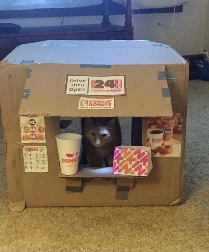 SFIGATTO tweet media