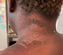 David Q+++ tweet media