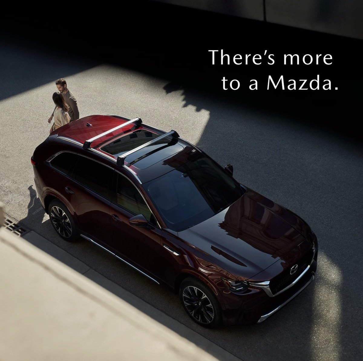 Andrew Canonaco tweet media