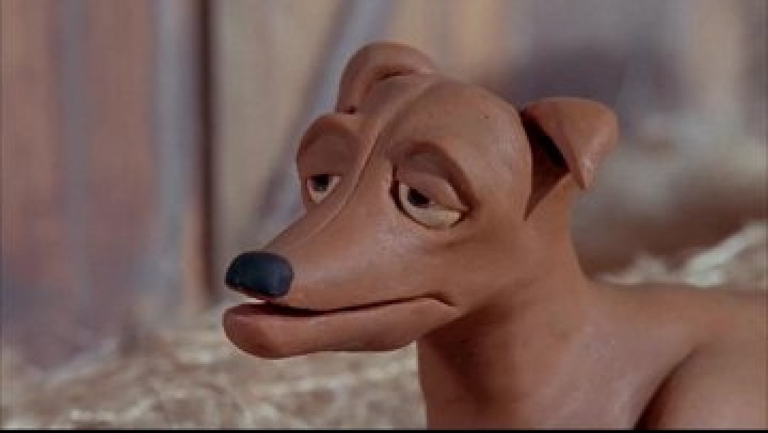 💀 Osama McTaliban 💀 🇬🇧 🇺🇦 tweet media