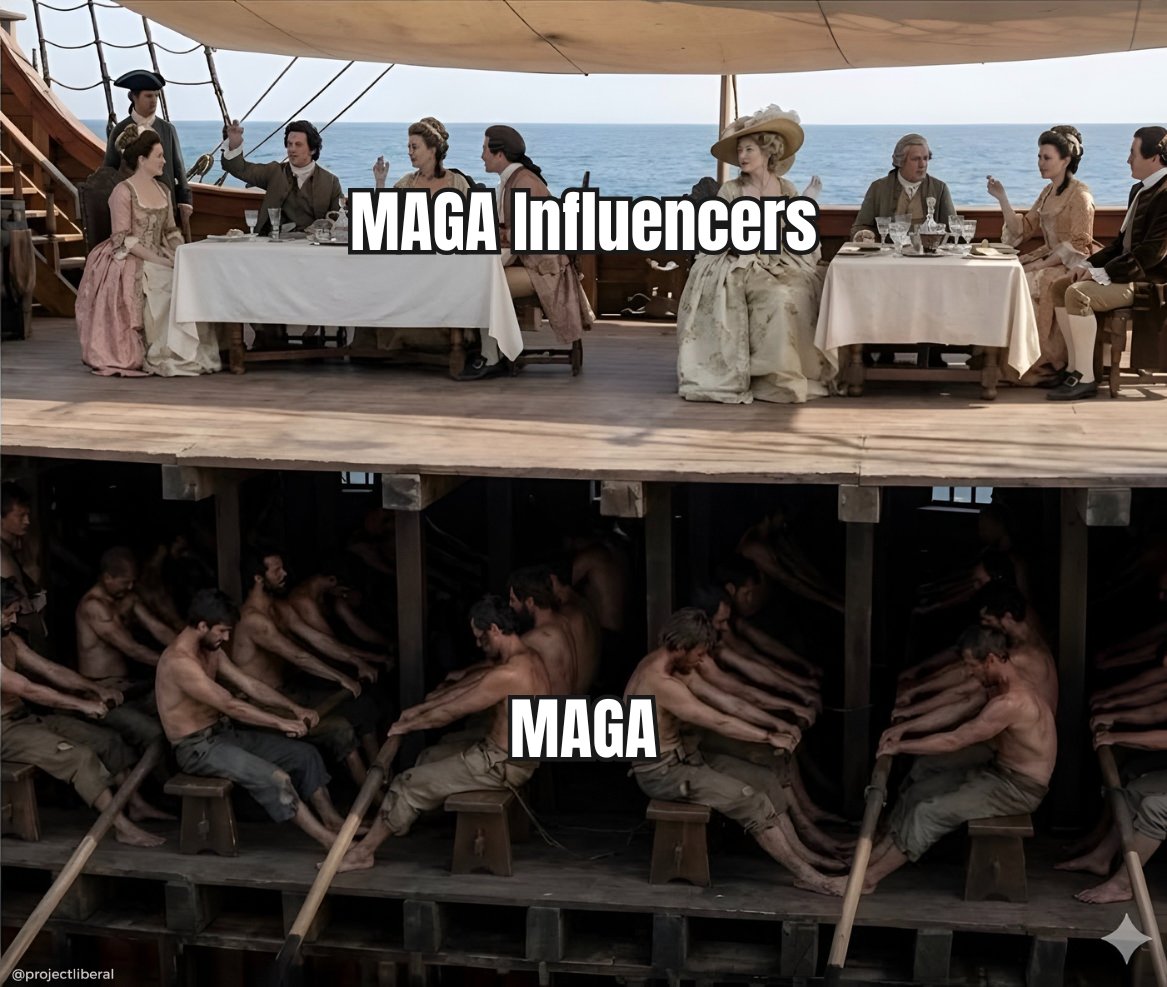 Project Liberal tweet media