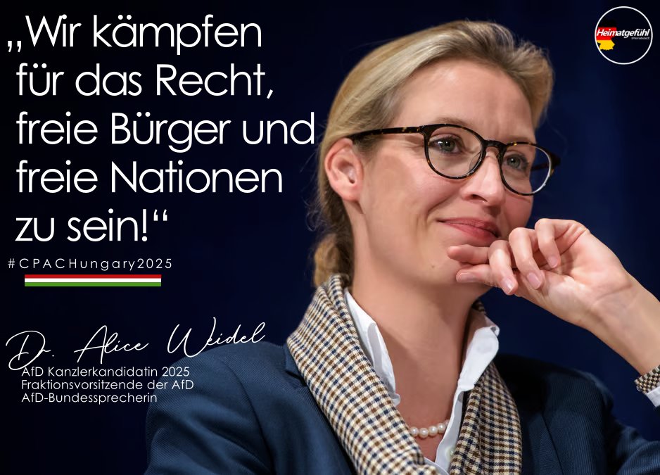 Tom Sester tweet media