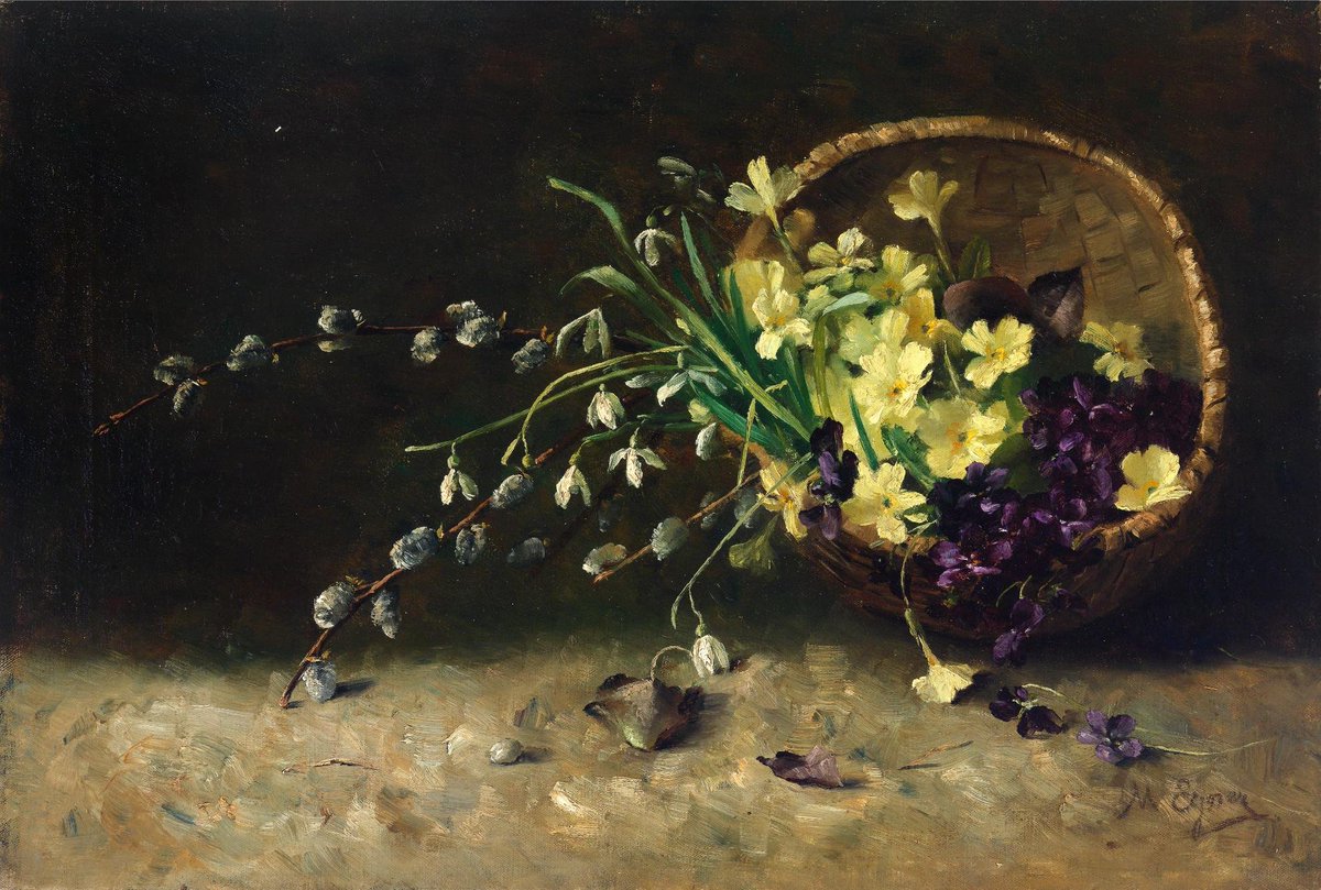 aralia 🌻 tweet media