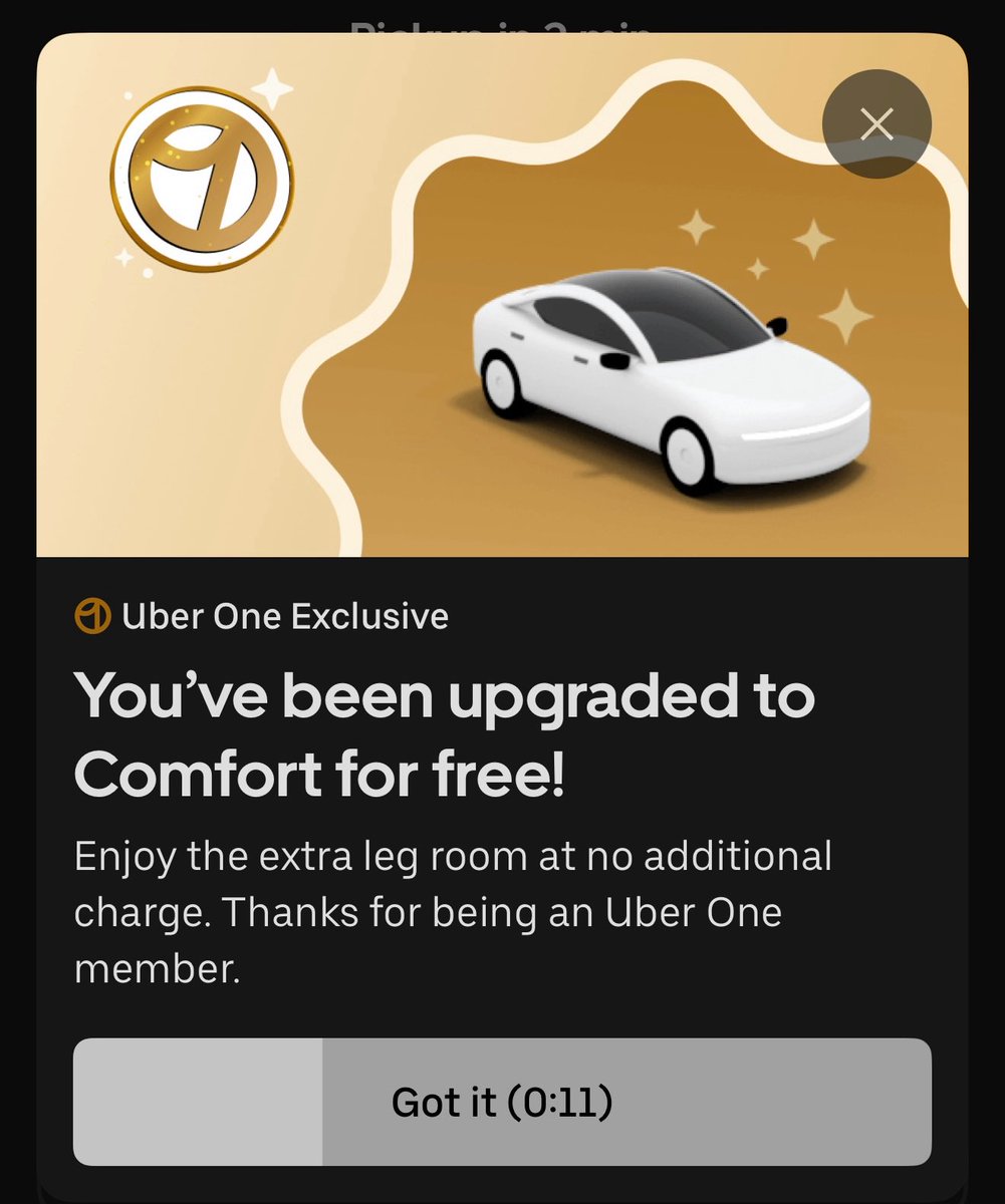 Aria Radnia 🇮🇷 tweet media