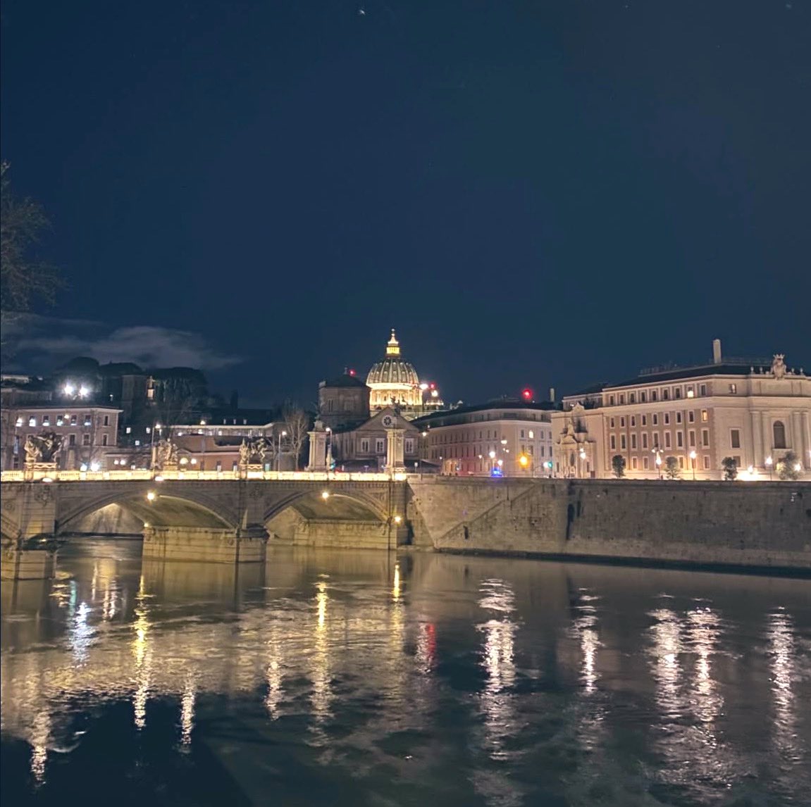 MinervaArmata  tweet media