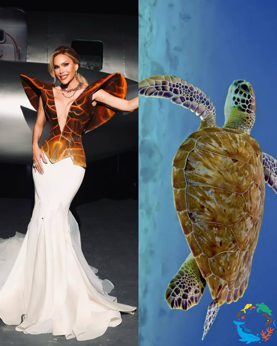 Acuario Nacional RD tweet media