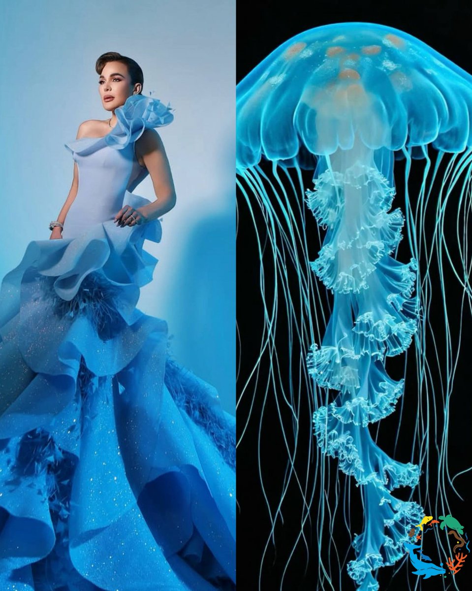 Acuario Nacional RD tweet media