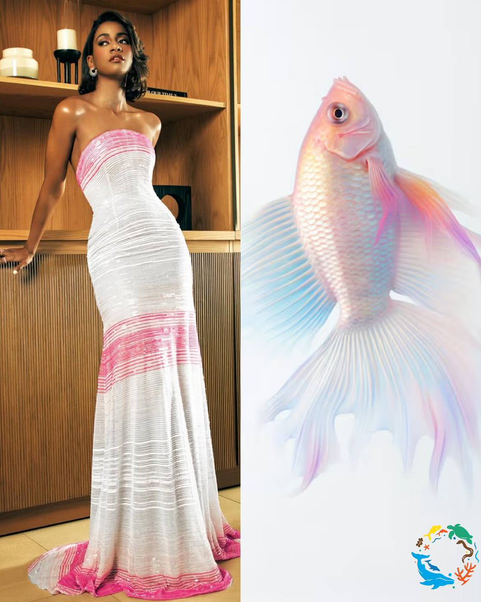 Acuario Nacional RD tweet media