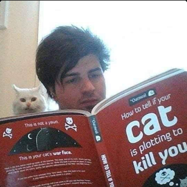 Cyber Atrocity tweet media