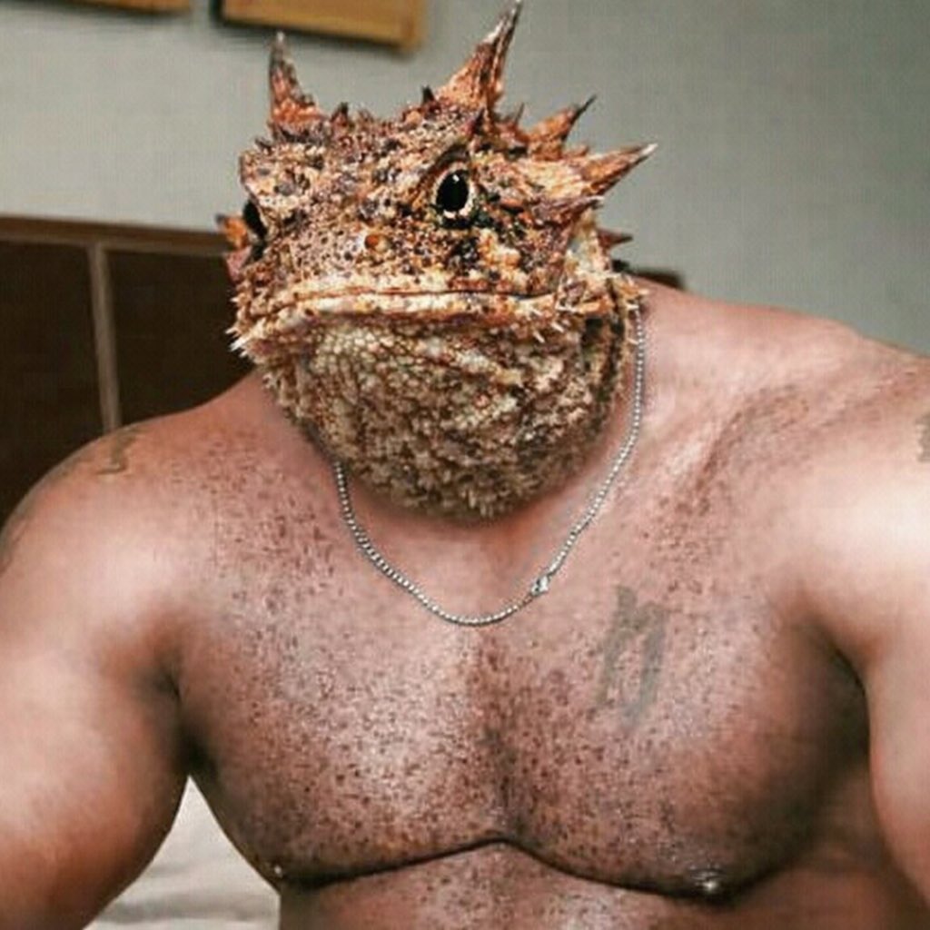 TCU Stats tweet media