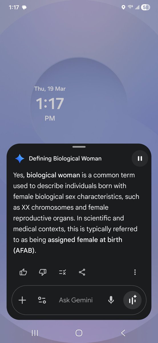 Robin Quivers's Goldendoodle tweet media