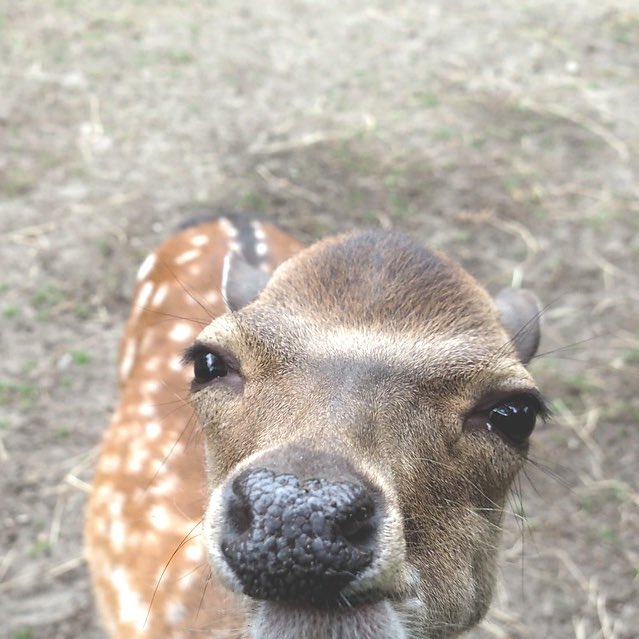 sooz 🍌 tweet media