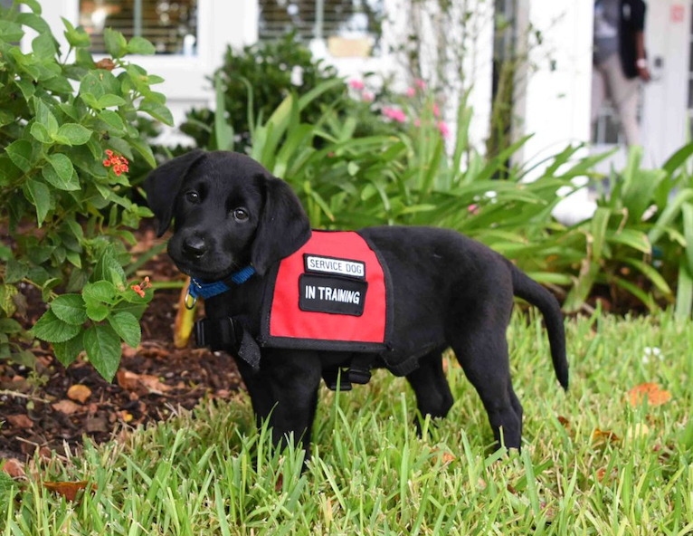 Rep. Claudia Tenney tweet media