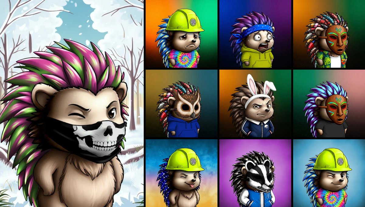 Eco Lodge Project tweet media