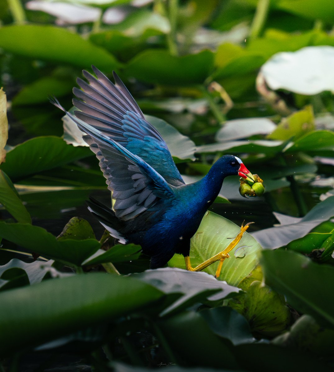 XANDER GEOGRAPHIC 🏕️ tweet media