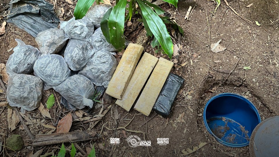 Polícia Militar do Estado de São Paulo tweet media