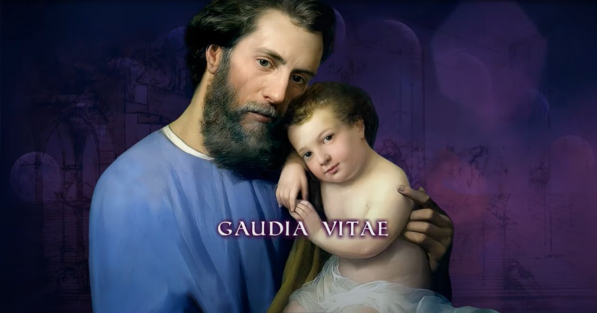 Catholic News World tweet media