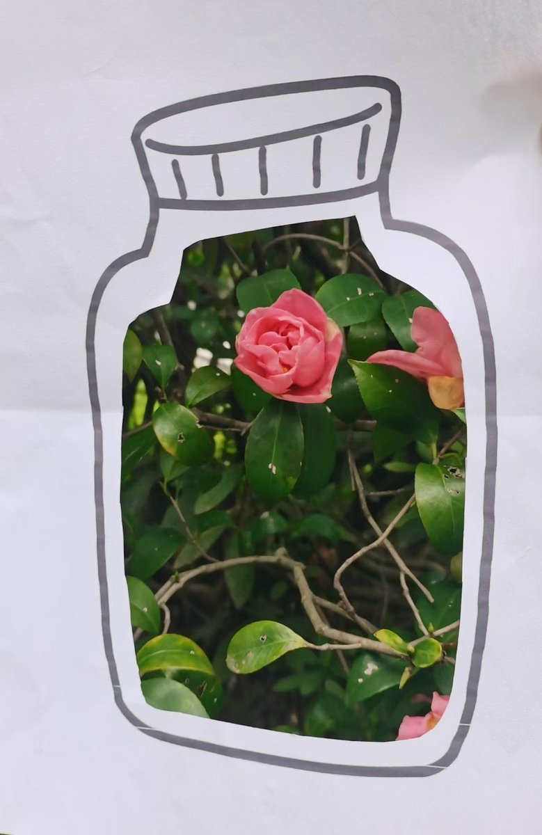 Faviola Chavez tweet media