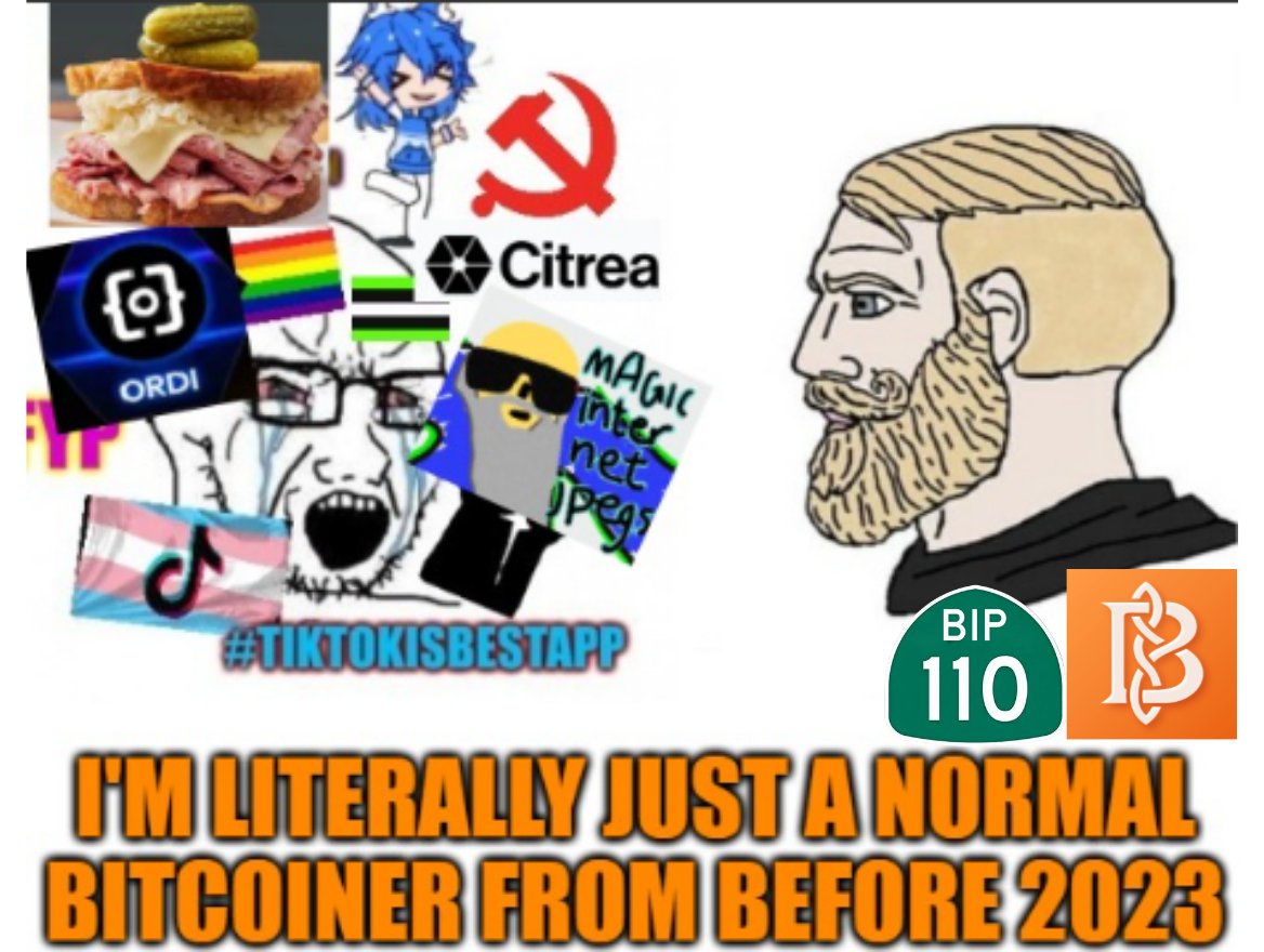 Motorist ┃ 🪢BIP110 tweet media