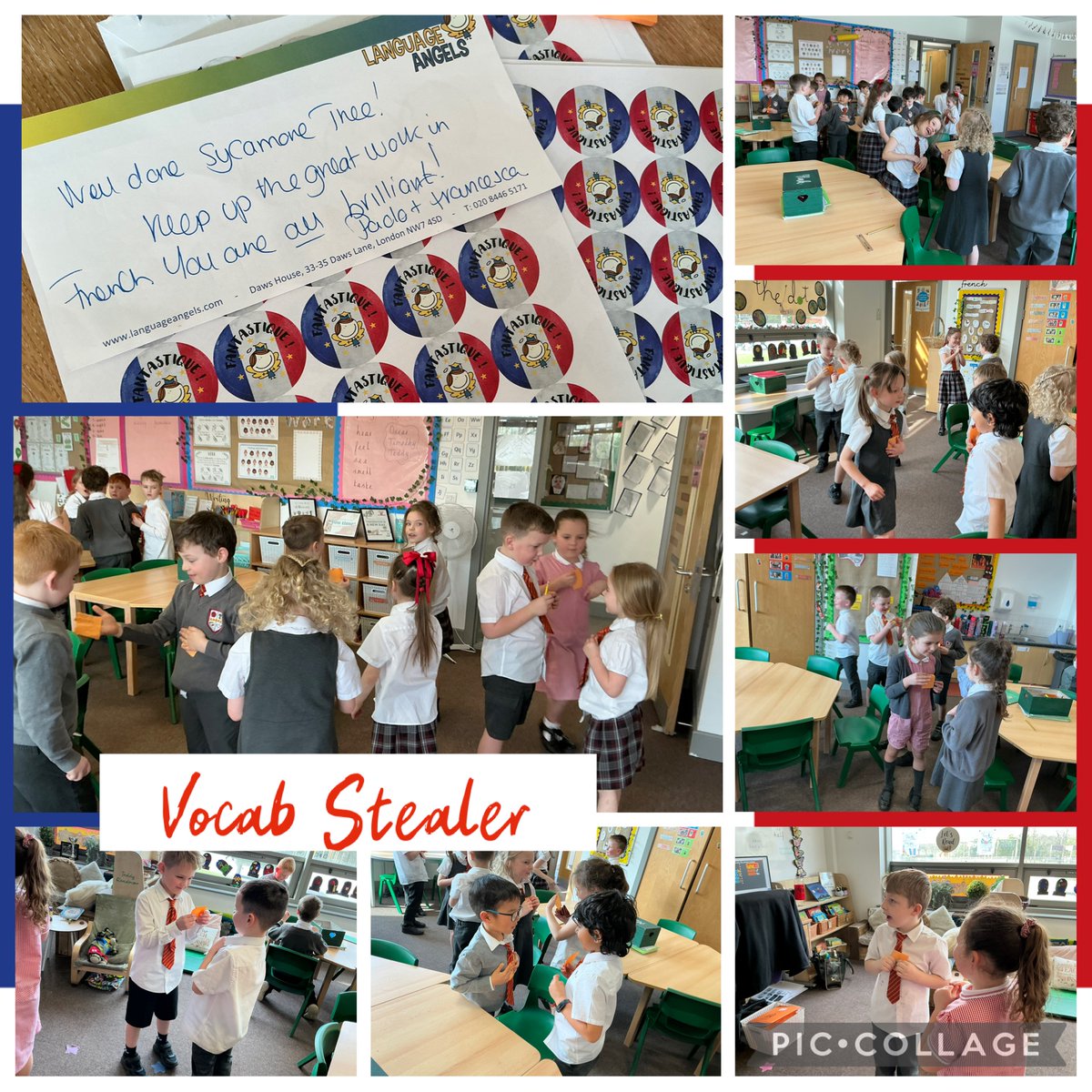 Sycamore Tree tweet media