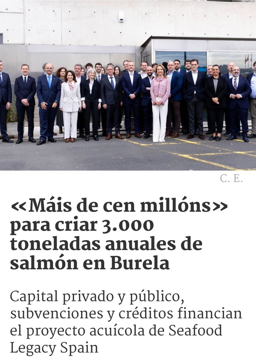 Mulleres Salgadas tweet media