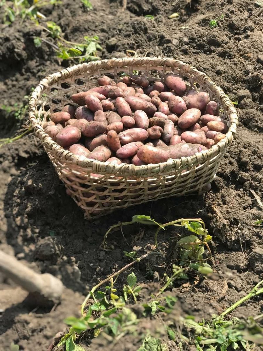 रिक्त ;) tweet media