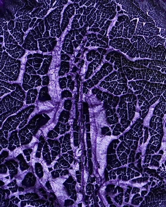 Joelle LB tweet media