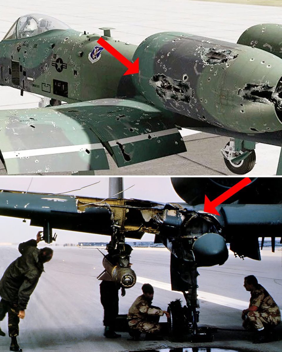 悉尼閑人 tweet media