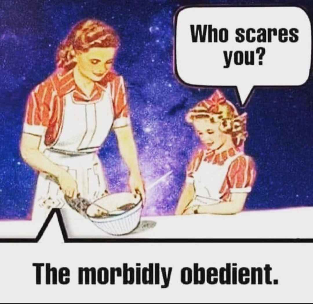 American Liberty Caucus tweet media