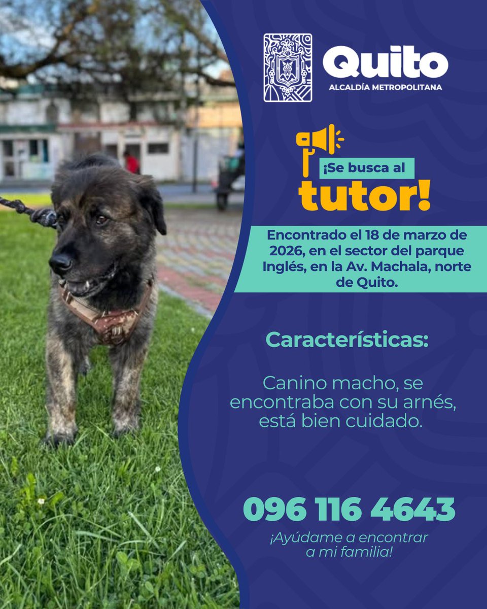 Unidad de Bienestar Animal Quito tweet media