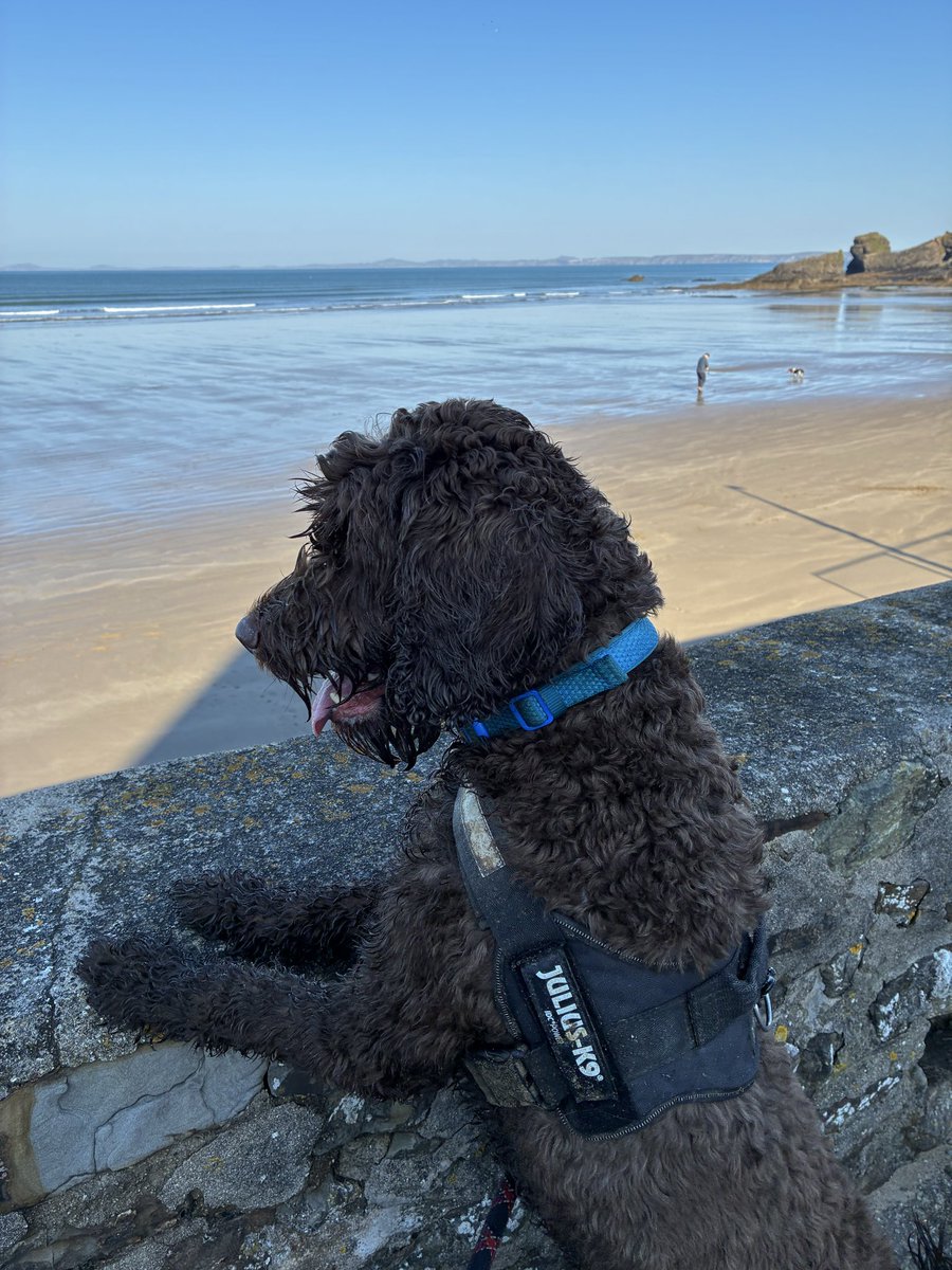 nikki rolfe tweet media